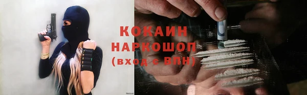 стафф Алексин
