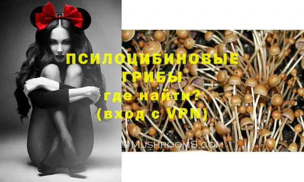 стафф Алексин