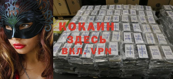 стафф Алексин