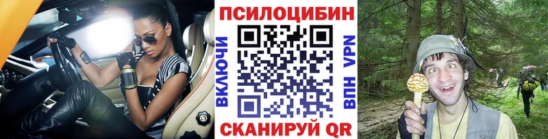 даркнет наркотические препараты  закладки  Анжеро-Судженск  Галлюциногенные грибы прущие грибы 
