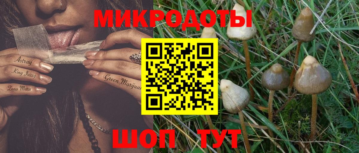 Псилоцибиновые грибы мицелий  Вход с VPN  Анжеро-Судженск 