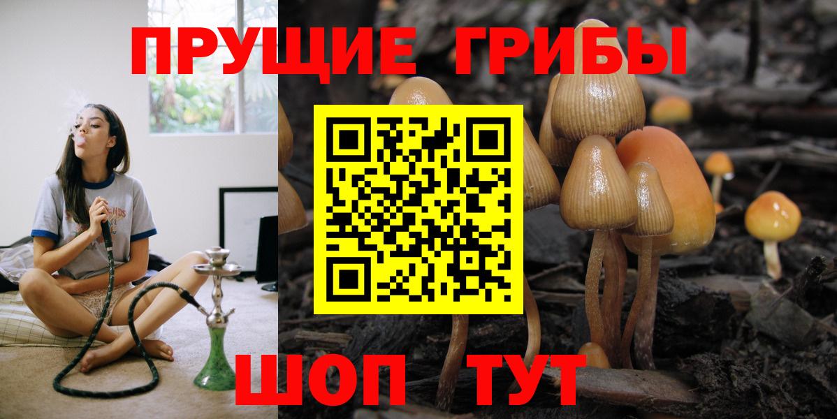 Псилоцибиновые грибы Magic Shrooms Анжеро-Судженск